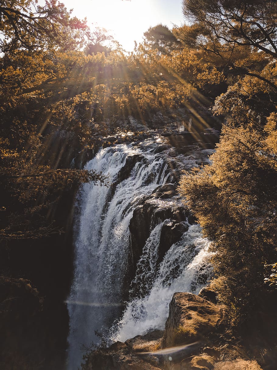 Waterfalls Surrounded With Trees With Sunrays, cascade, flow HD wallpaper