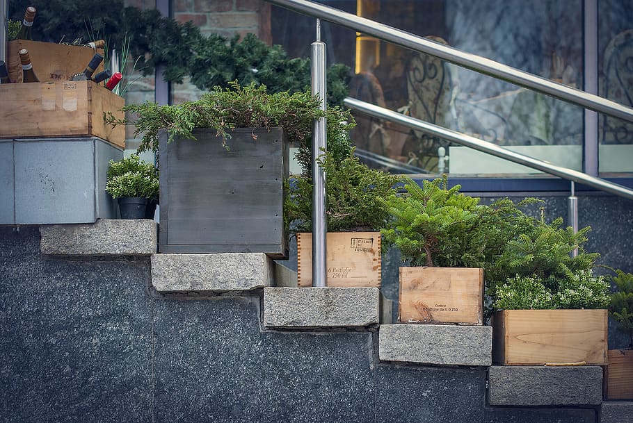 gray concrete staircase, architecture, plant, day, built structure HD wallpaper