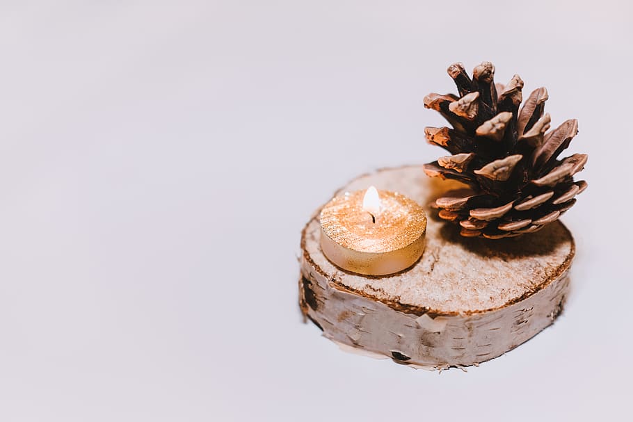 Brown Pine Cone Nut Beside Tealight Candle, burning, candlelight HD wallpaper