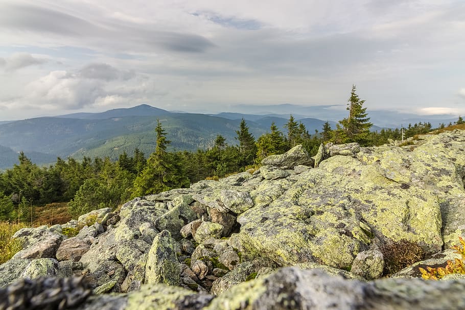 rocks, stones, trees, forest, mountains, sky, cloud - sky, beauty in nature HD wallpaper