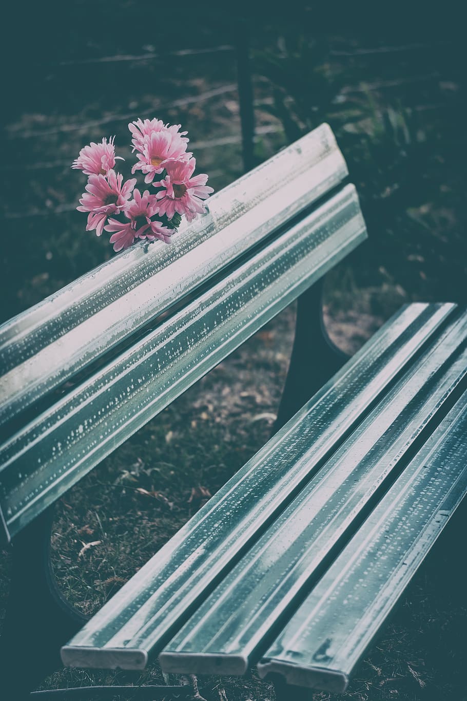bank, bench, seat, rest, mourning, grieve, break, recovery, HD wallpaper