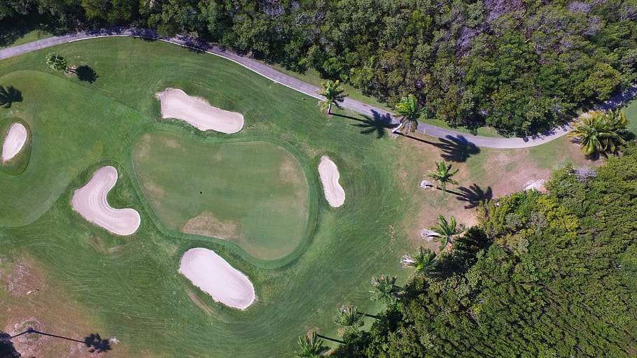 golf course, shadow, drone, areal, plants, nature, vegetation HD wallpaper