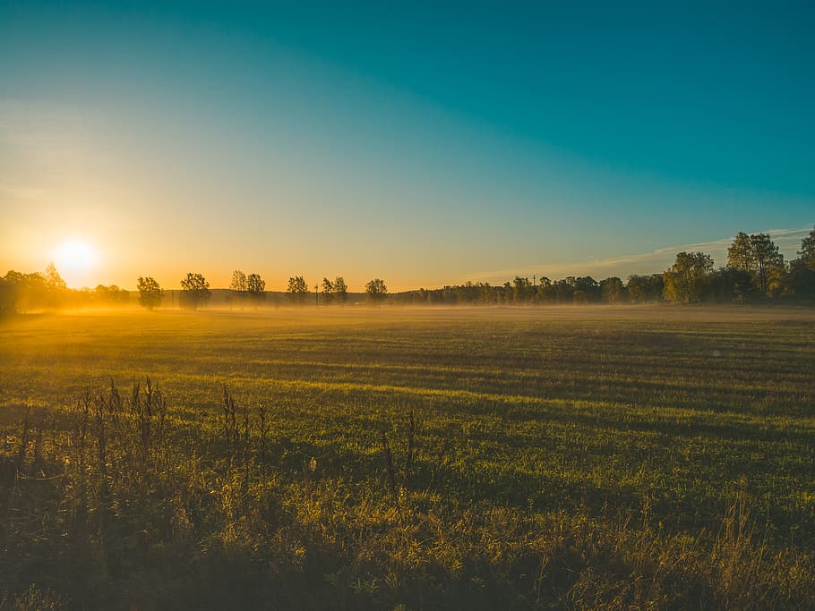 finland, turku, ruissalo, sky, fog, field, autumn, fall, sunrise, HD wallpaper