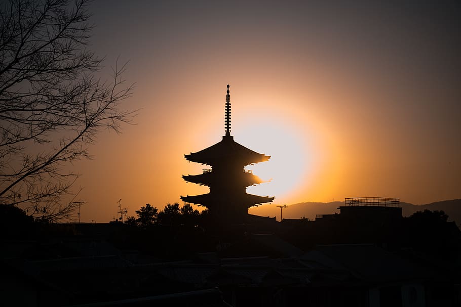 Silhouette Photo of Pagoda, backlit, branches, dawn, daylight HD wallpaper