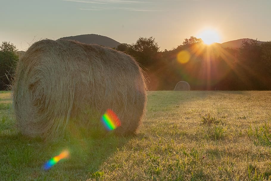 fields, prairie, hill, straw, bote, roller, rural, agriculture HD wallpaper