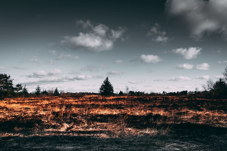 Brown Open Field , autumn, clouds, dark, dawn, dramatic, dusk HD wallpaper