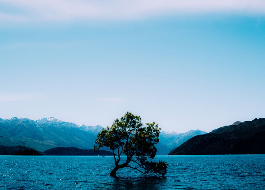 water, mountain, beauty in nature, sky, scenics - nature, tree HD wallpaper