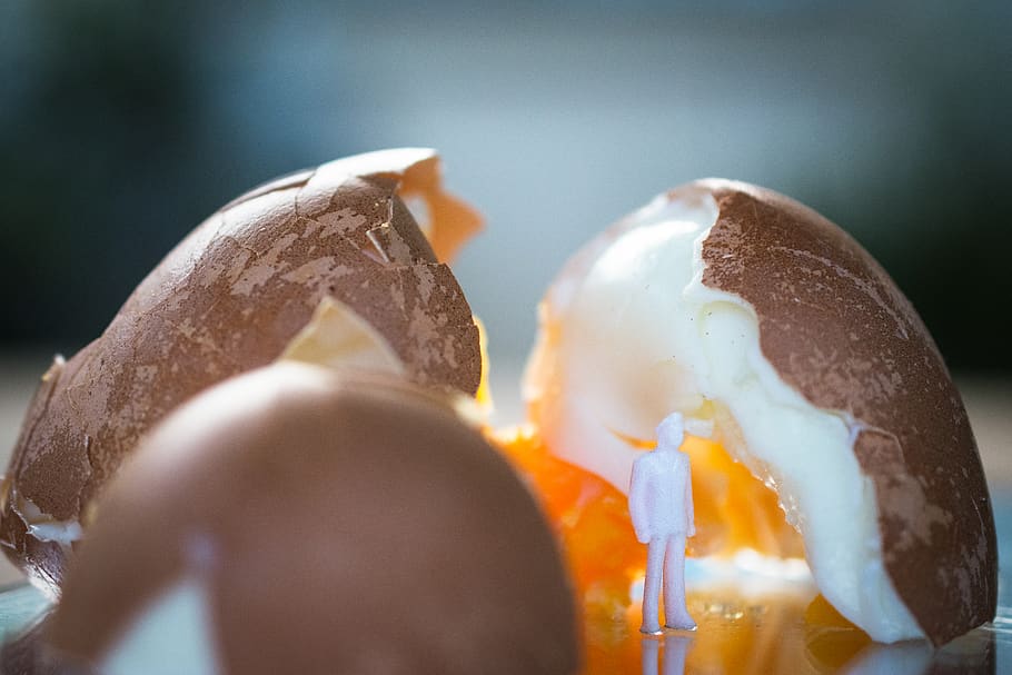 egg, conceptual, interior, design, architecture, figurine, food HD wallpaper
