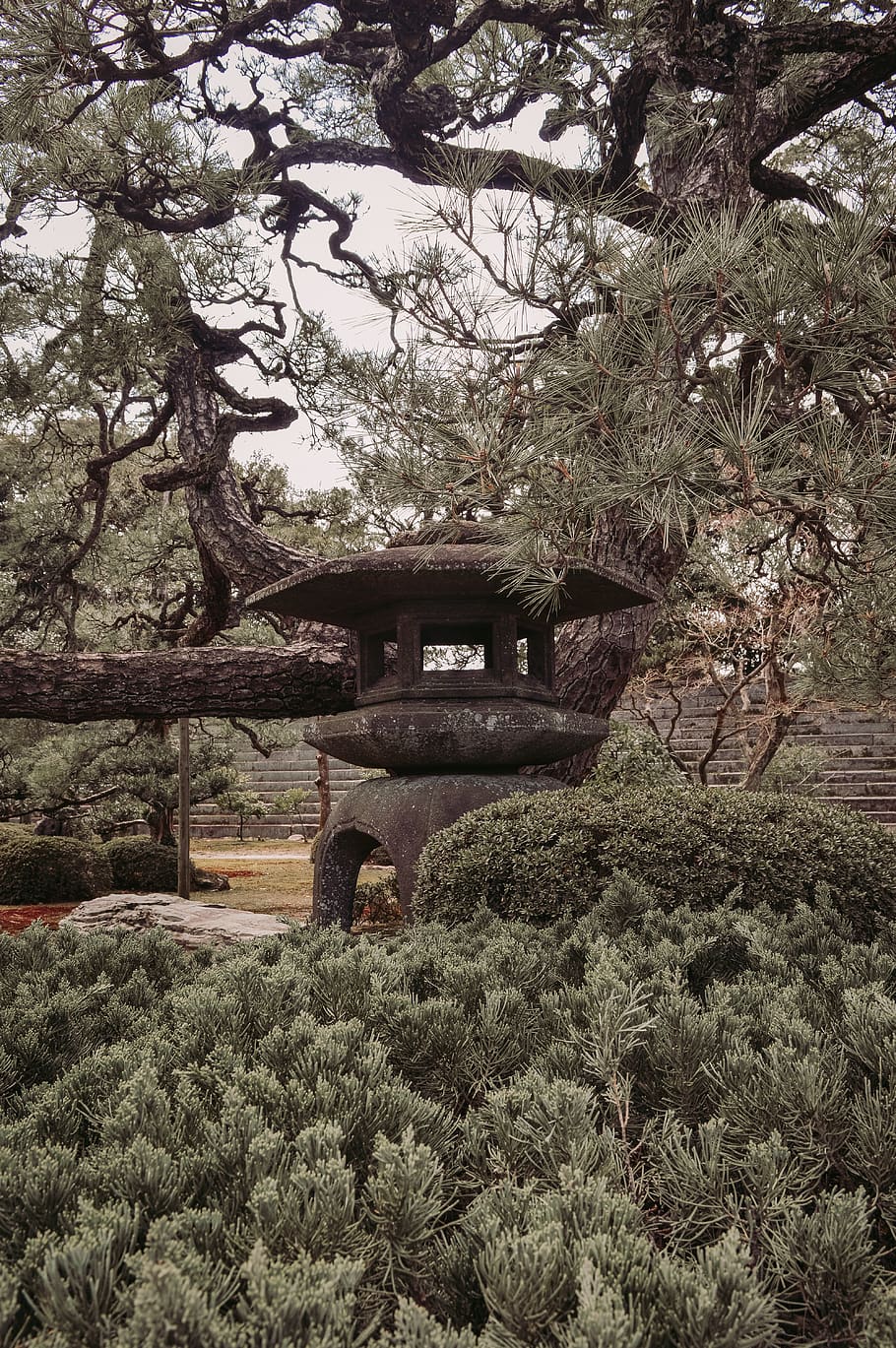 tree, plant, outdoors, tree trunk, garden, arbour, nature, building HD wallpaper