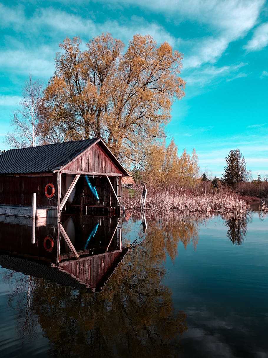 brown wooden dock near green leafed tree, alanson, stafford's crooked river lodge and suites, HD wallpaper