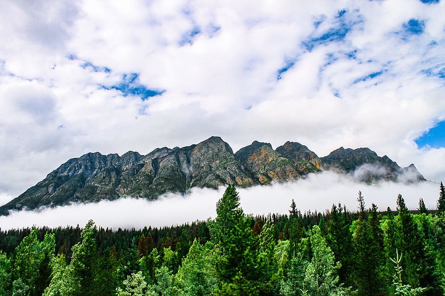 Scenic View of Mountain and Forest, 4k wallpaper, cloud formation HD wallpaper