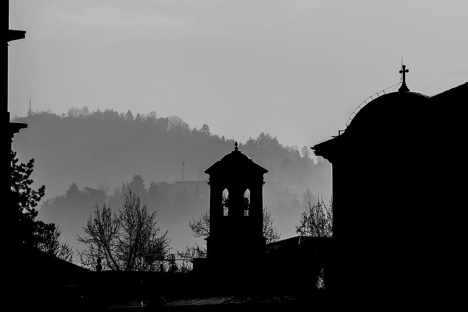 italy, forest, tower, black and white, travel, vlog, life, man