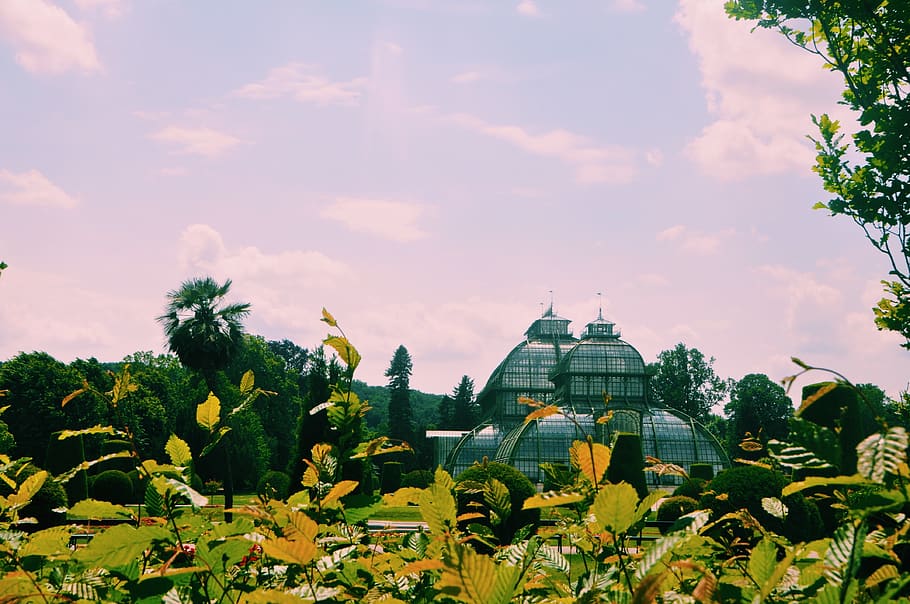 dome, building, architecture, vegetation, plant, jar, potted plant HD wallpaper