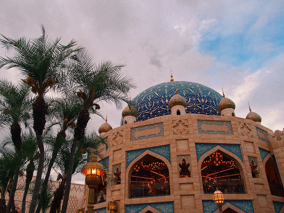building, dome, architecture, mosque, tree, plant, arecaceae HD wallpaper