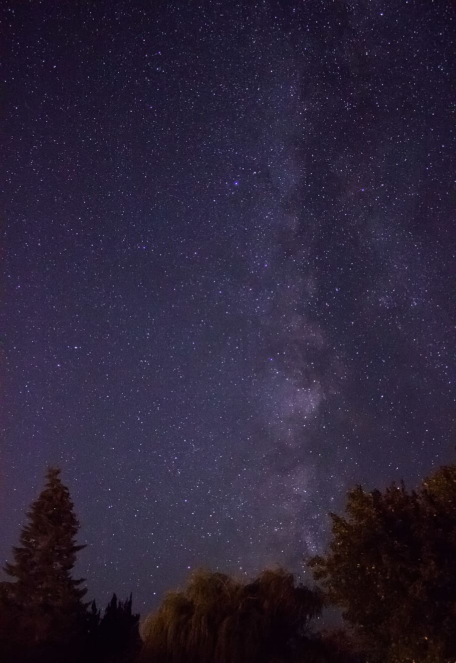 star filled night sky, nature, outdoors, astronomy, universe HD wallpaper