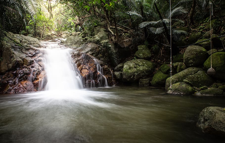 waterfall surrounded by trees, forest, scenics - nature, long exposure HD wallpaper