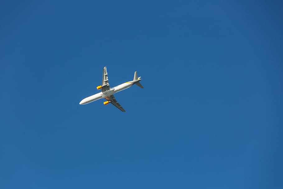 plane, blue, sky, fly, transport, aircraft, wings, minimal HD wallpaper