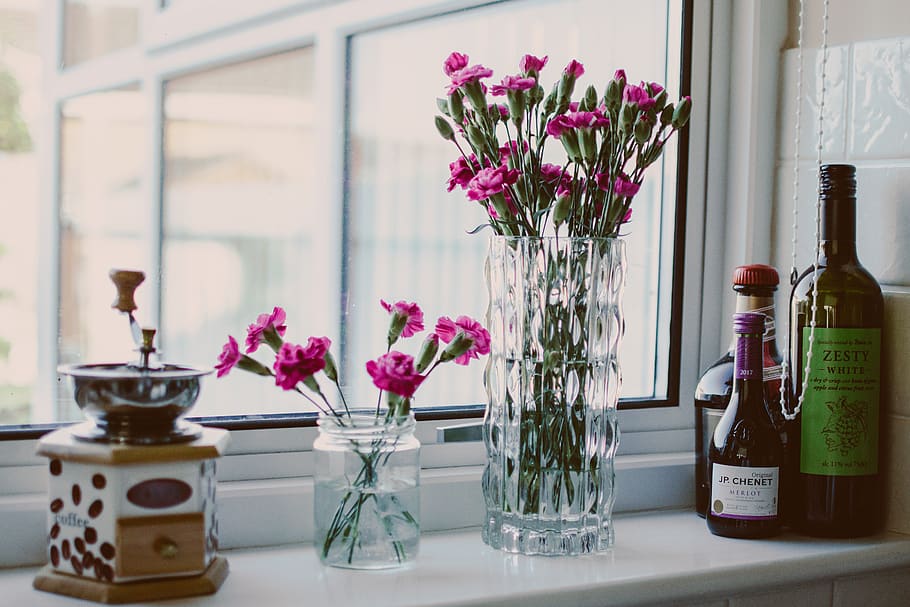 Potted Pink Petaled Flowers Near Bottles Beside Window, bright HD wallpaper