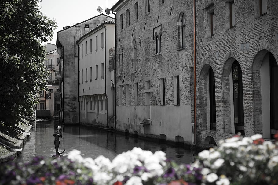 italy, treviso, lone, villa, canals, lines, windows, copper, HD wallpaper