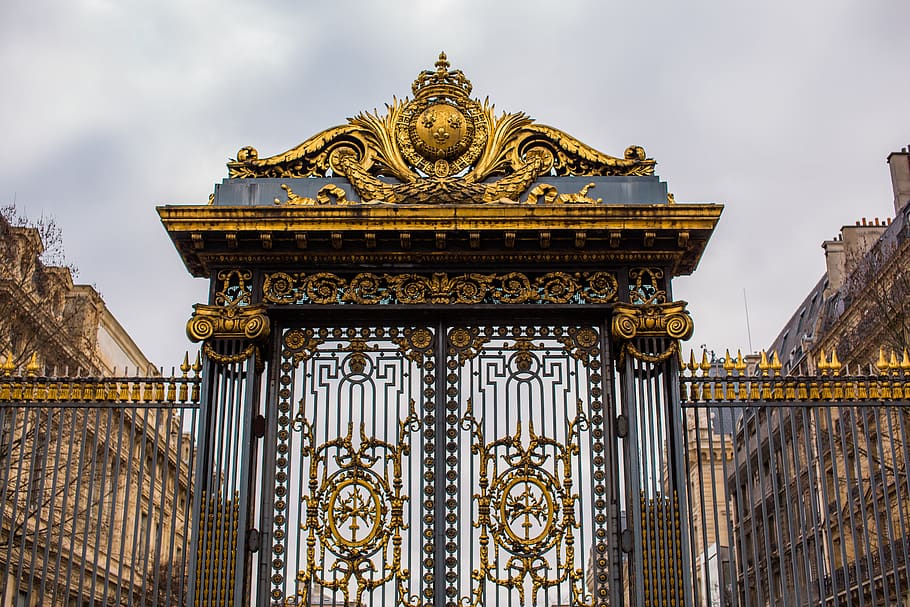 gray and brown closed gate, iris, blossom, plant, flower, parliament HD wallpaper