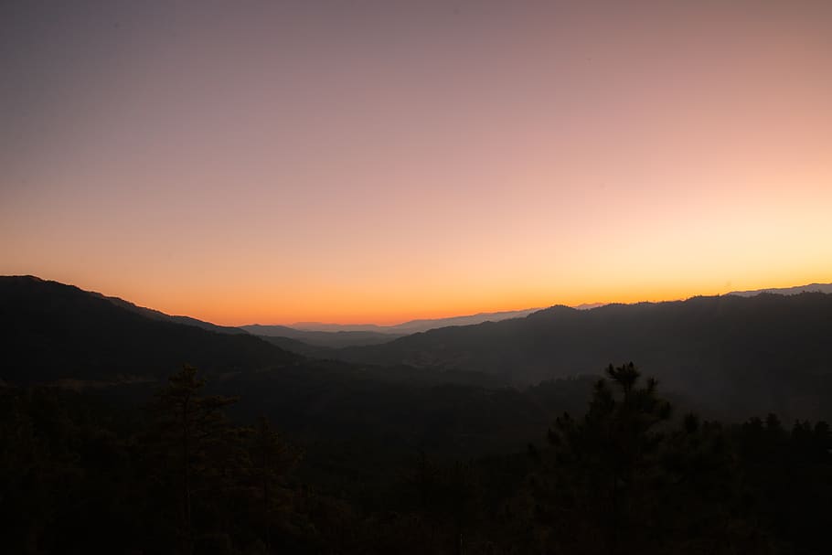 nature, outdoors, mountain range, sunset, sunrise, abies, plant HD wallpaper