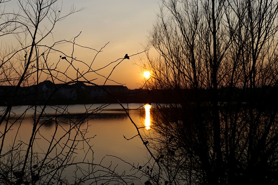 trees, lake, evening, sun, sky, scenics - nature, sunset, water HD wallpaper