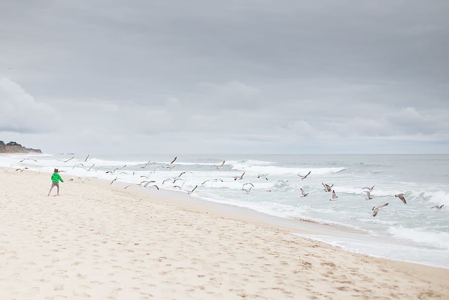 land, beach, sea, sky, water, beauty in nature, cloud - sky HD wallpaper
