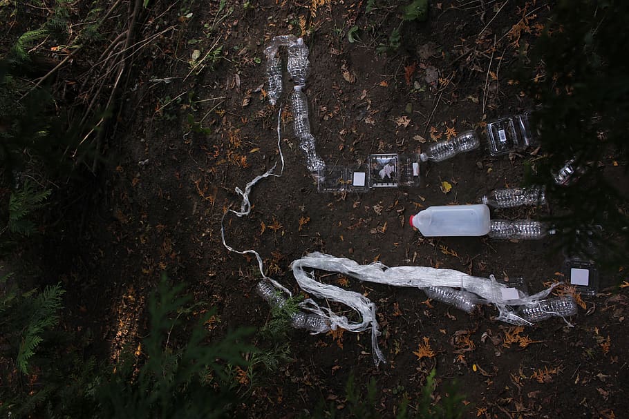 white plastic bottle on brown field, tree, land, plant, no people HD wallpaper