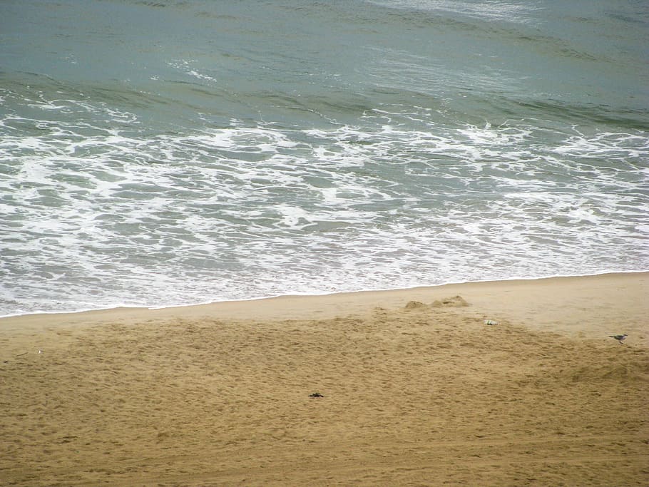 Beach, Beaches, Ocean, sand, water, sea, land, wave, motion, sport HD wallpaper