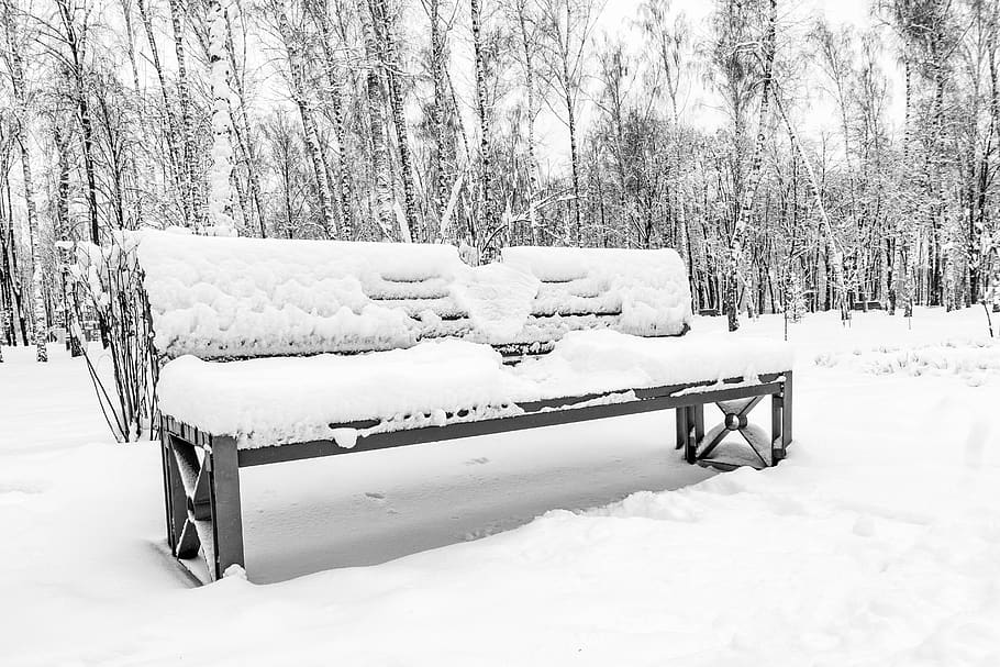 snow, winter, coldly, wood, frozen, bench, loneliness, park HD wallpaper