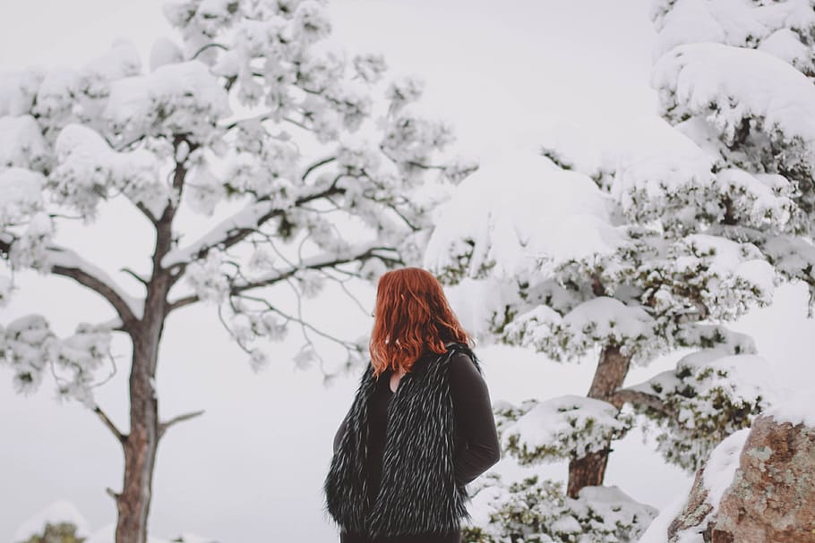 united states, boulder, model, winter, colorado, mountain, trees HD wallpaper