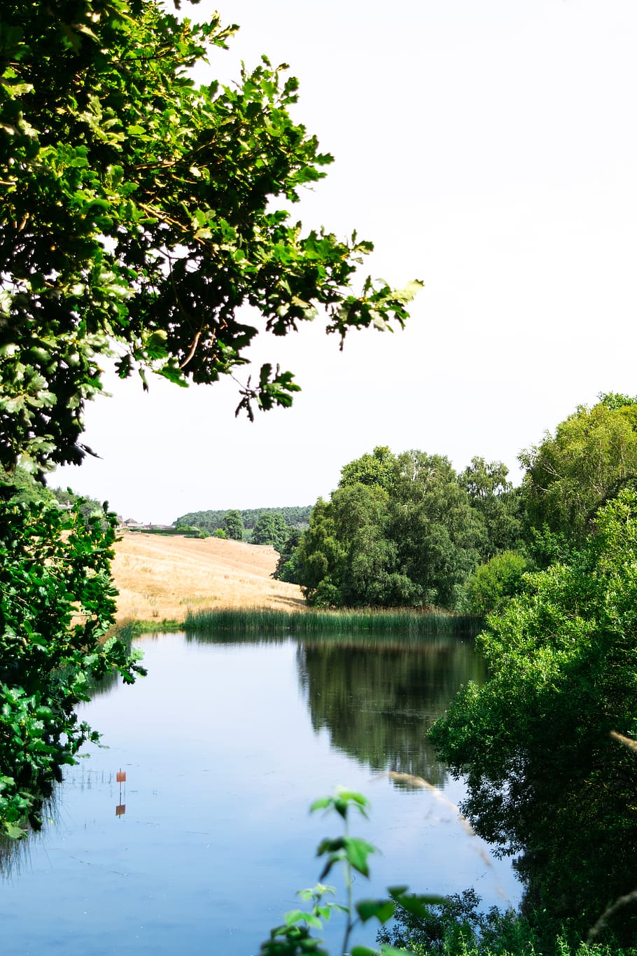 landscape, wet, warm, summer, blue, green, water, river, lake HD wallpaper