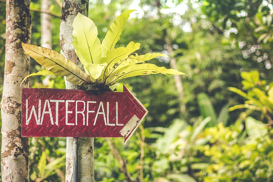 Waterfall Signage, attraction, background, beautiful, beauty HD wallpaper