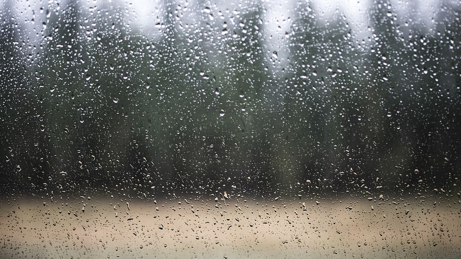 water, rain, rainy, rain drops, glass, forest, trees, moody HD wallpaper