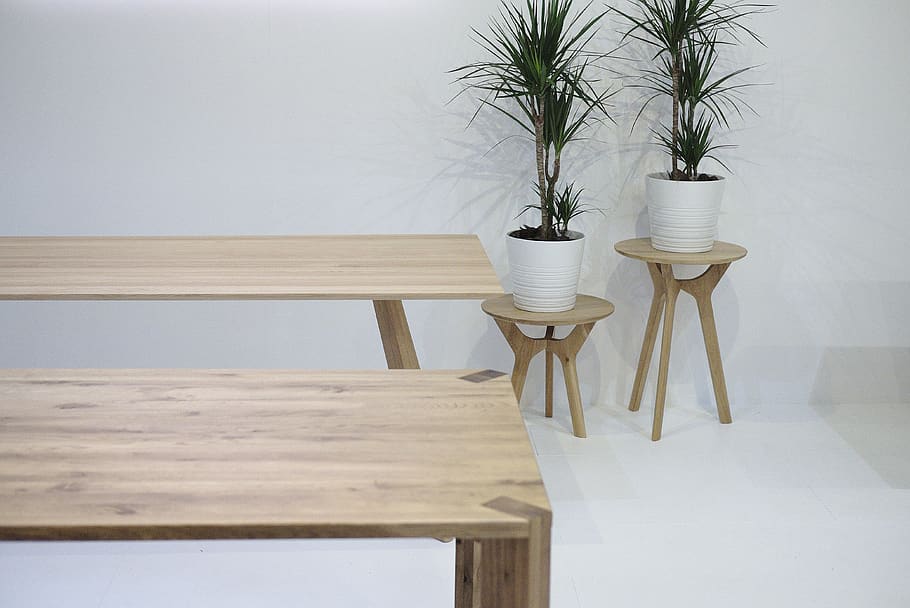 two plants in white vases, seat, wood - material, table, chair HD wallpaper