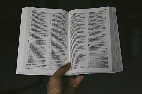 opened bible, book, text, person, human, page, diary, christian HD wallpaper