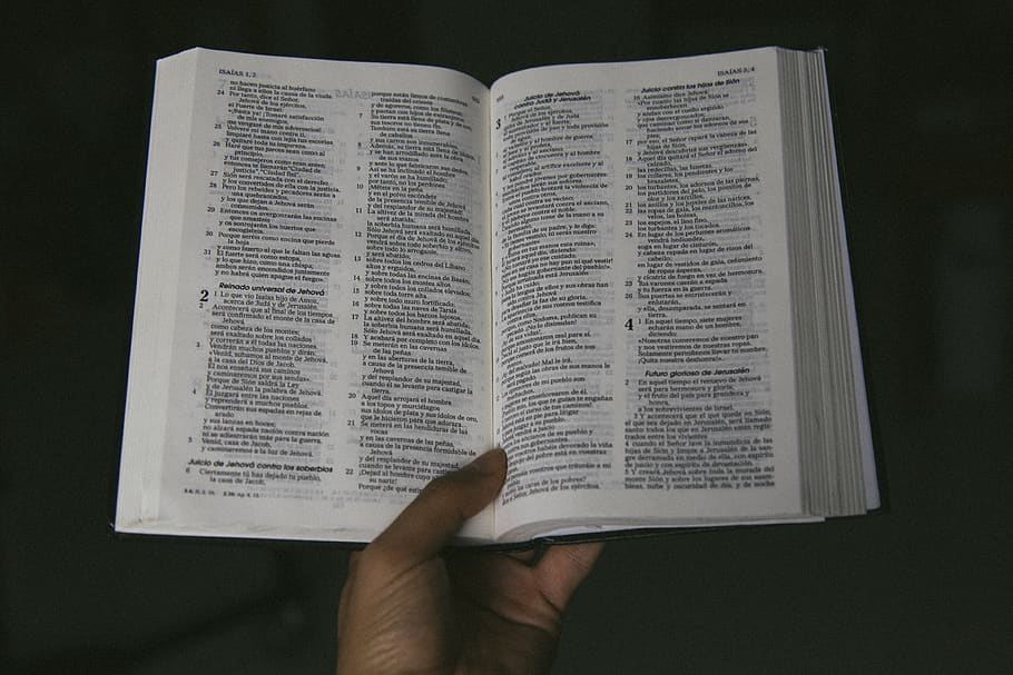 opened bible, book, text, person, human, page, diary, christian HD wallpaper