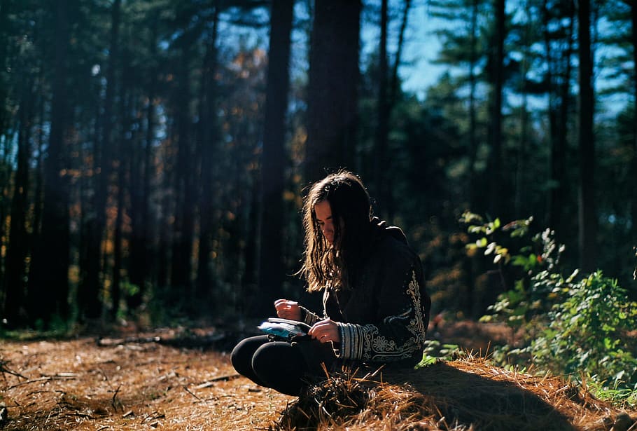 tree, nature, forest, wilderness, girl, sunlight, morning, leaf HD wallpaper
