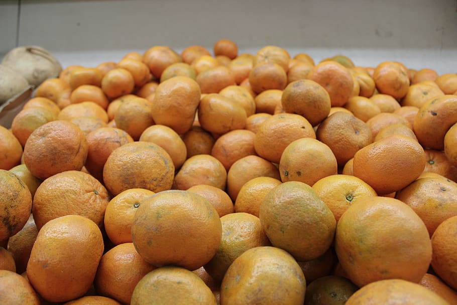 mexico, mexicali, path, colour, orange, ybbth, nature, fruit HD wallpaper
