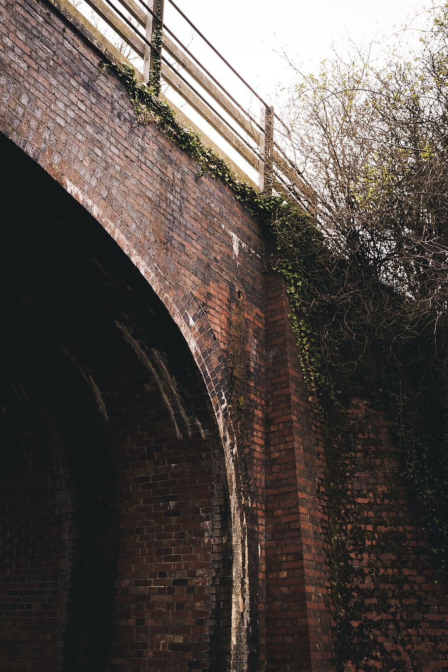 brick, tunnel, tree, darkness, old train bridge, corridor, crypt HD wallpaper