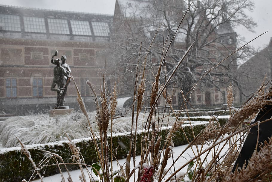 snow, trees, statue, cold, corn, white, architecture, built structure HD wallpaper