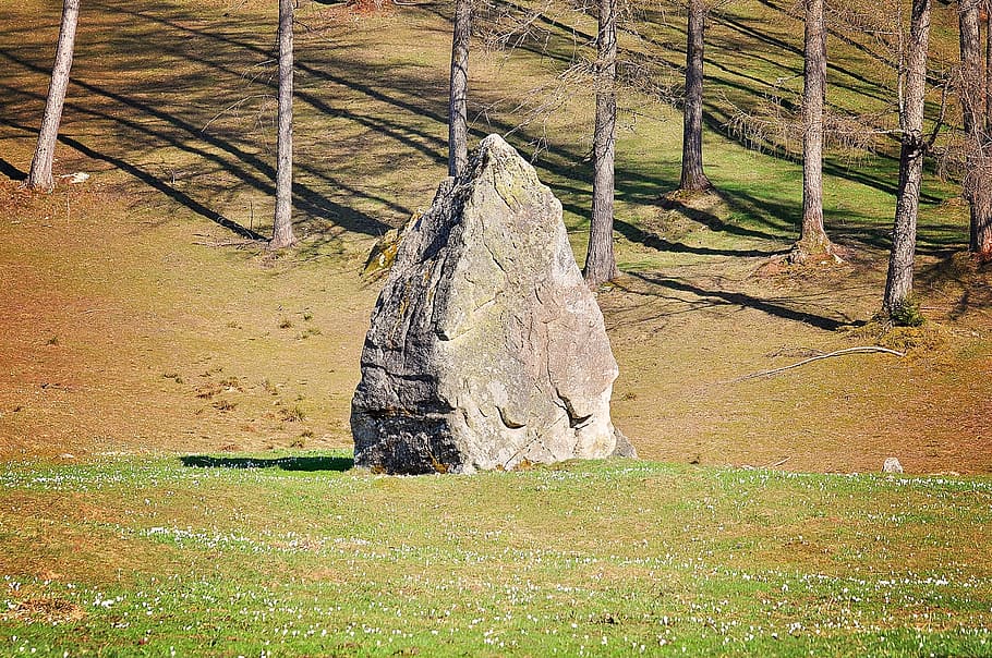 stone, rock, landscape, plant, nature, grass, day, no people HD wallpaper