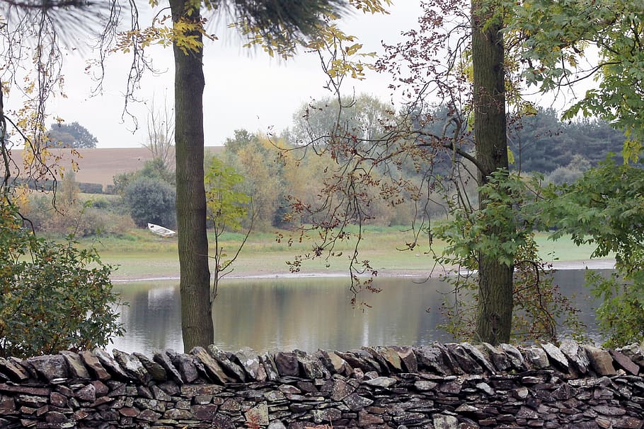 lake, forest, trees, stone wall, plant, water, nature, beauty in nature HD wallpaper