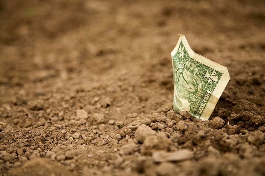 us-dollar, dollar bill, banknote, earth, basic, ground, field HD wallpaper