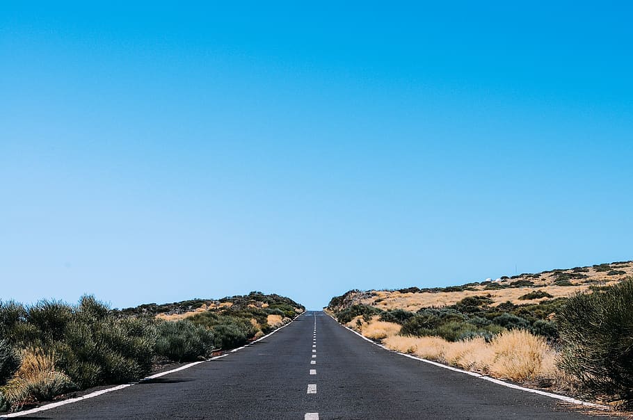 road, horizon, the way forward, clear sky, transportation, direction HD wallpaper
