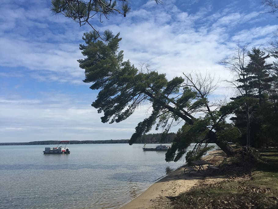 tree, lake, water, spring, sky, cloud - sky, nautical vessel HD wallpaper