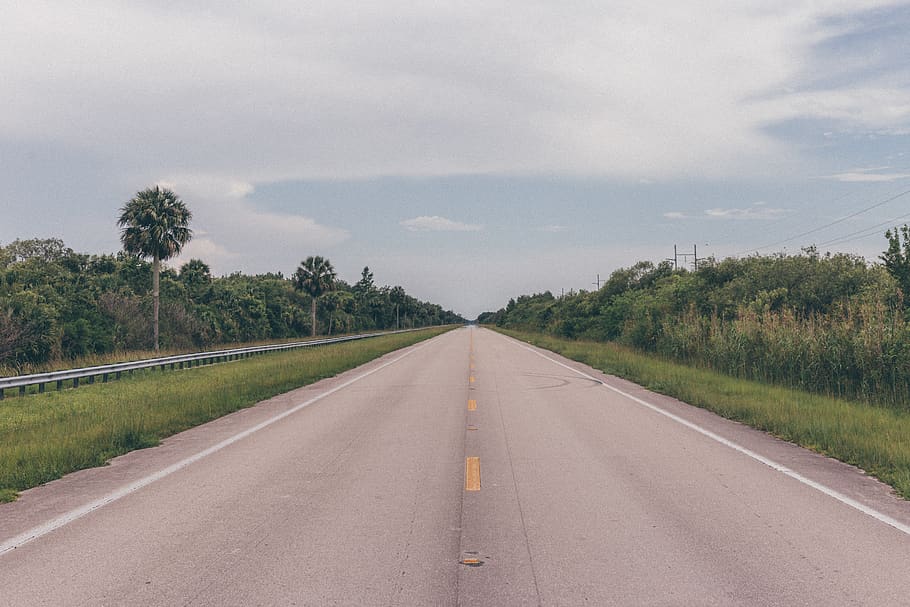 green, plants, grass, trees, nature, outdoor, road, travel HD wallpaper
