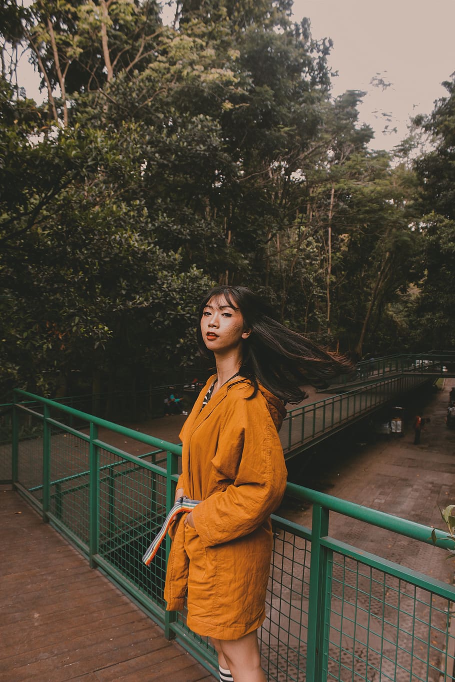 one person, real people, tree, standing, railing, lifestyles HD wallpaper