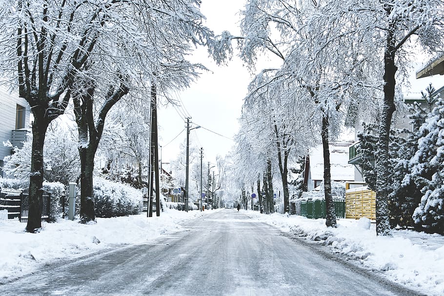 frost, snowy, winter town, winter city, street, white street, HD wallpaper