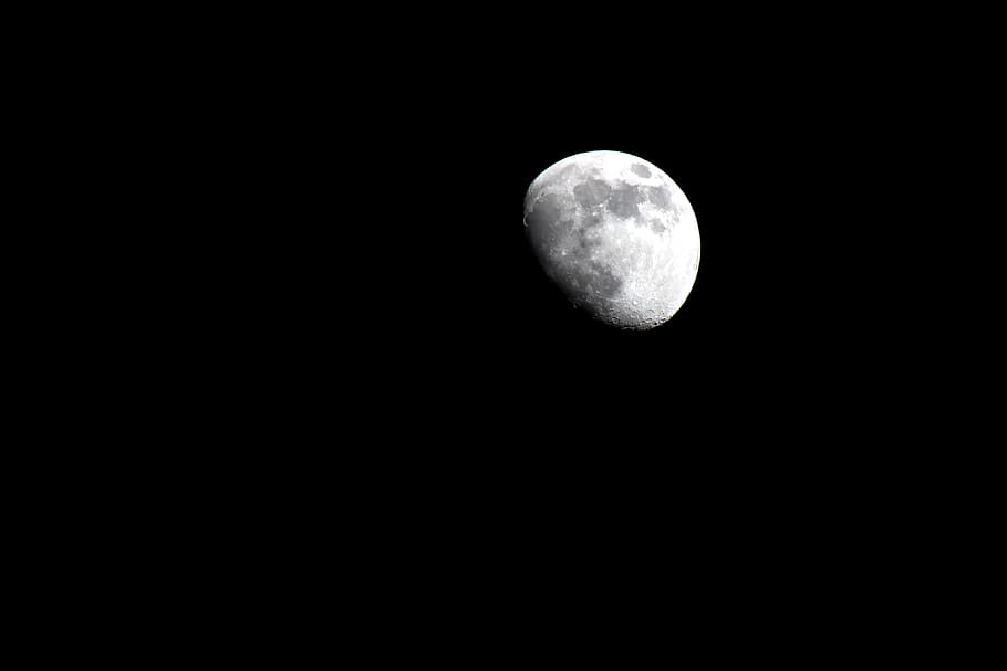 moon, night, moonlight, sky, dark, astronomy, night sky, luna HD wallpaper